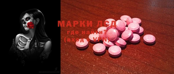 крисы Надым